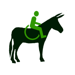 Logo Handiane