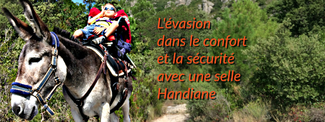 Handiane